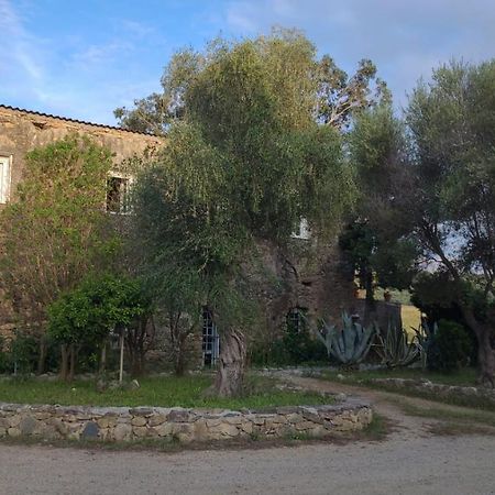 Bed and Breakfast Domaine Ostriconi Palasca  Exterior foto